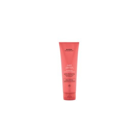 NUTRIPLENISH CONDITIONER DEEP MOISTURE 250ML