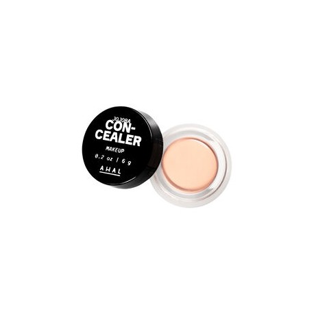 CONCEALER (CORRECTOR)