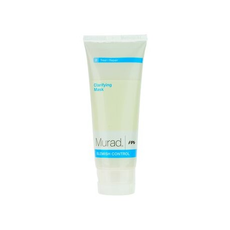 BLEMISH CONTROL CLARIFYING MASK