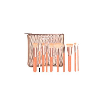 EXPERIENCED BRUSH SET 10 BRUSHES