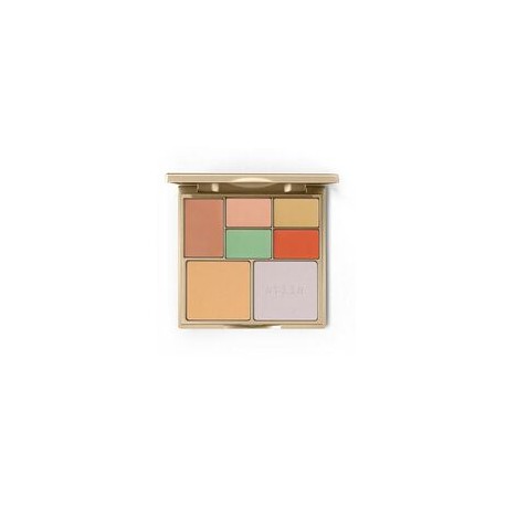 CORRECT & PERFECT ALL IN 1 COLOR CORRECTING PALETTE