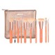 EXPERIENCED BRUSH SET 10 BRUSHES
