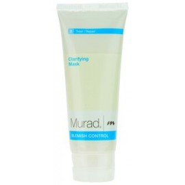 BLEMISH CONTROL CLARIFYING MASK