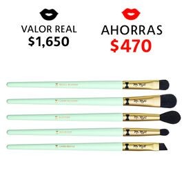 MR. RIGHT 5 PIECE BRUSH SET (SET DE 5 BROCHAS)