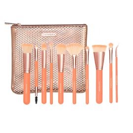 EXPERIENCED BRUSH SET 10 BRUSHES