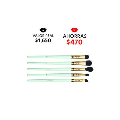 MR. RIGHT 5 PIECE BRUSH SET (SET DE 5 BROCHAS)